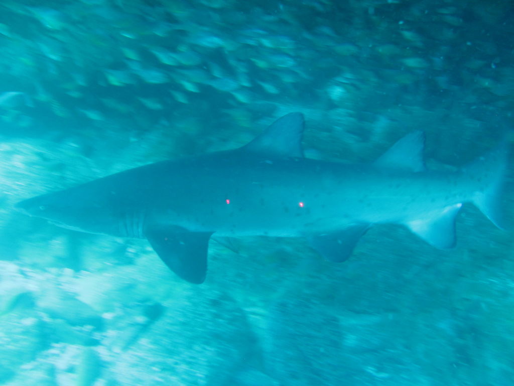 e67096ca-287b-4848-8010-31ef633a15d5