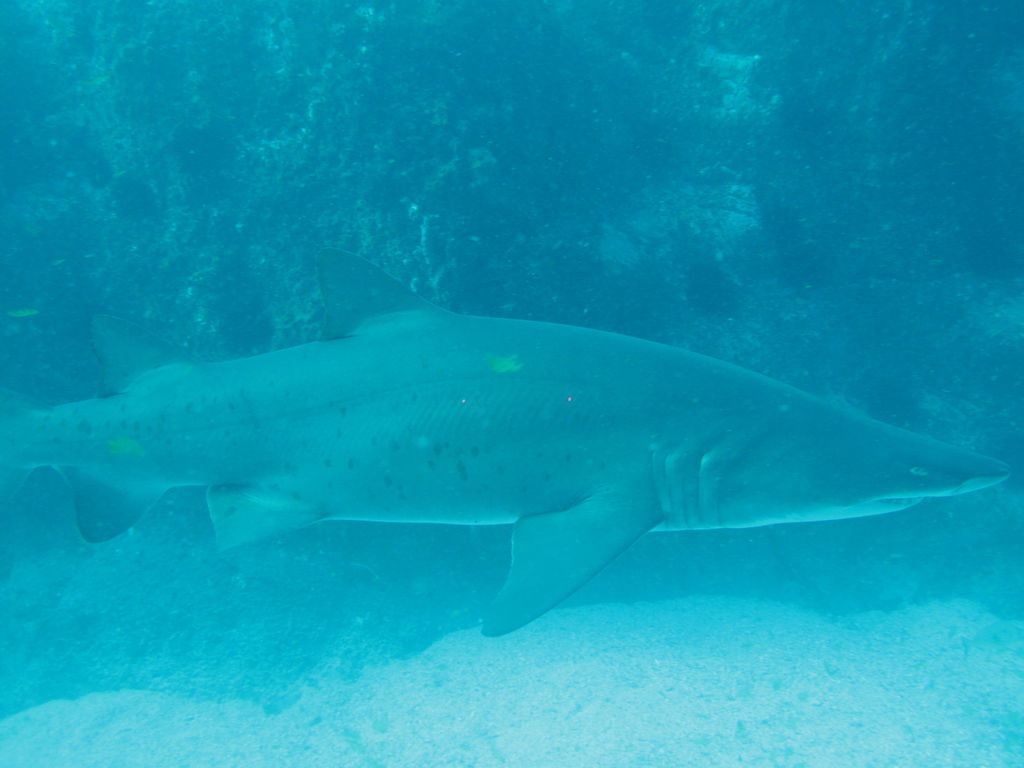 3c139749-a672-4a0d-bb49-a69853440823