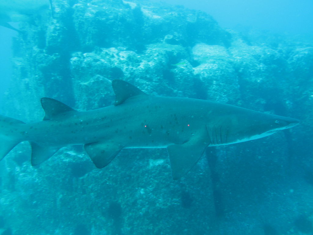 ca2f7842-f2e6-4b94-8fd3-bda5a2db32fa