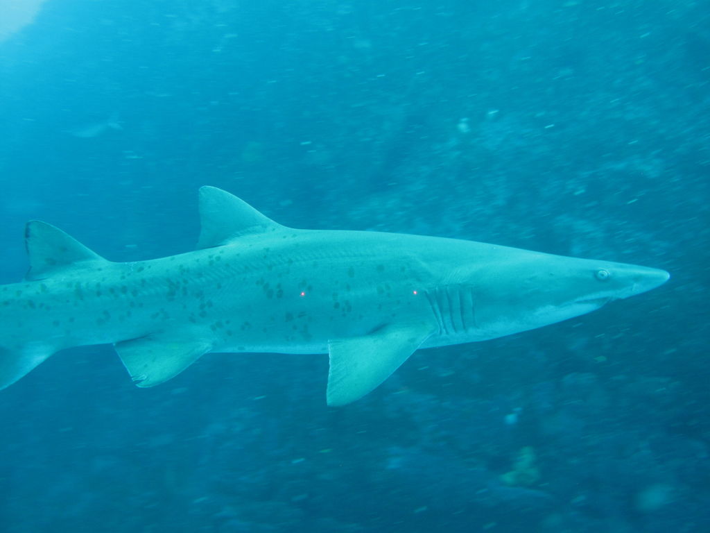 83c6b5d2-7419-4061-b6b7-55c9af005884