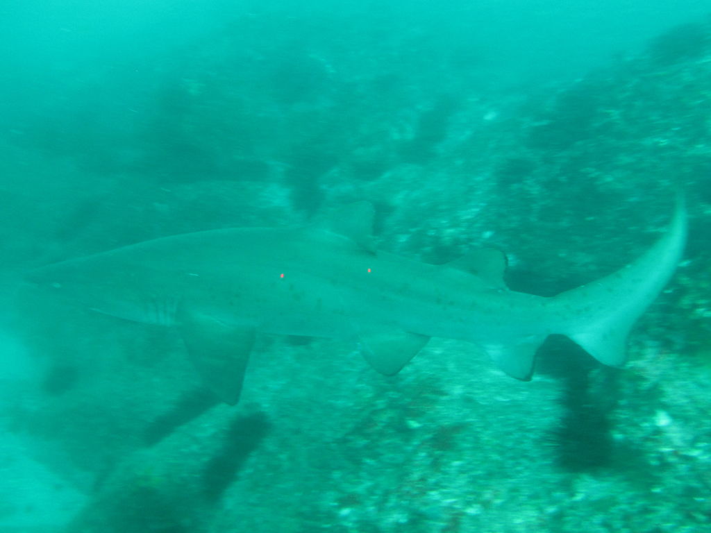 34d23c51-17ef-4ccd-98f6-57fb06cdc62c