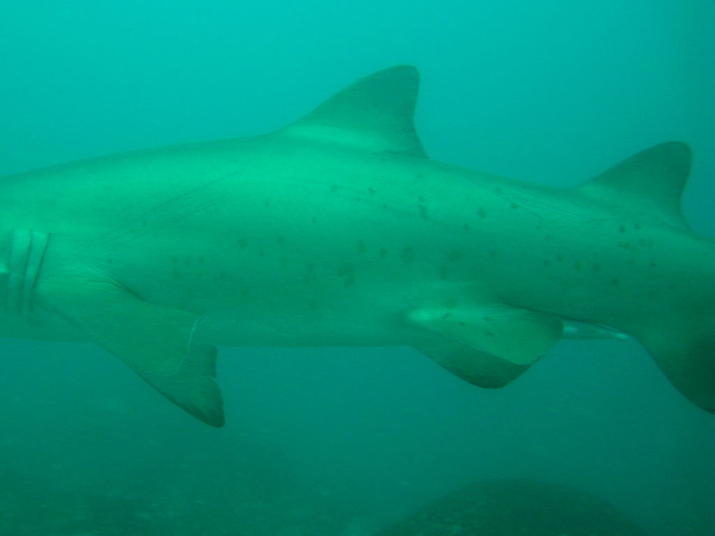 ebd4cf5c-0f5b-4ccb-9338-f6e414310b2f