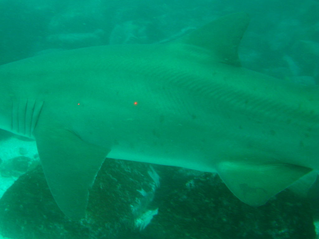 53a44db0-ed9a-4d53-87cd-aa9a9ab61903