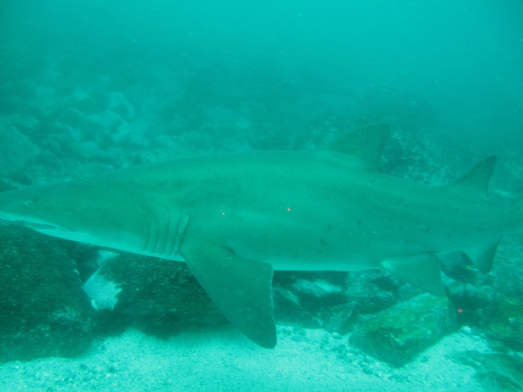 53a44db0-ed9a-4d53-87cd-aa9a9ab61903