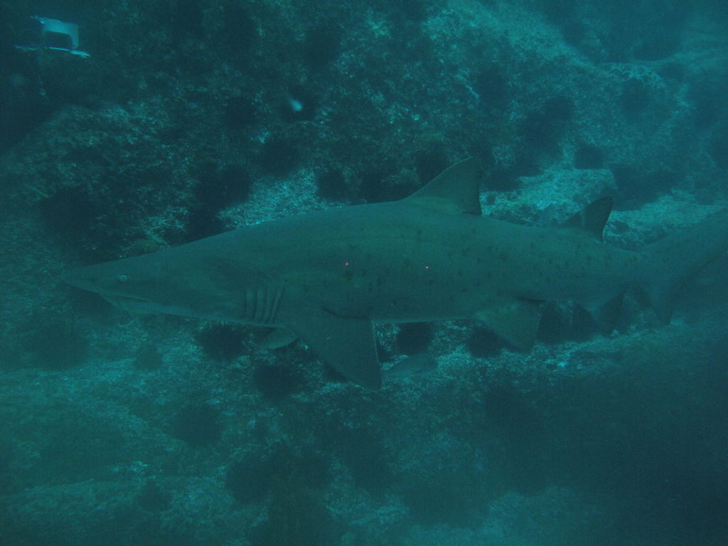 e43f1fd5-f5cb-4c53-8d34-d7b0c1bb8e70