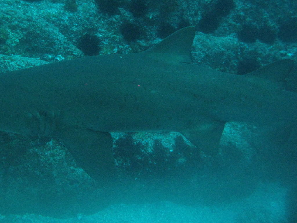 be51a6ec-4896-41e1-bb43-c1c3b16609f4