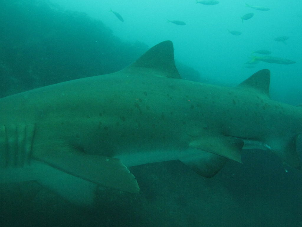 d3759339-8130-47b6-bea6-07d94f9b07cd