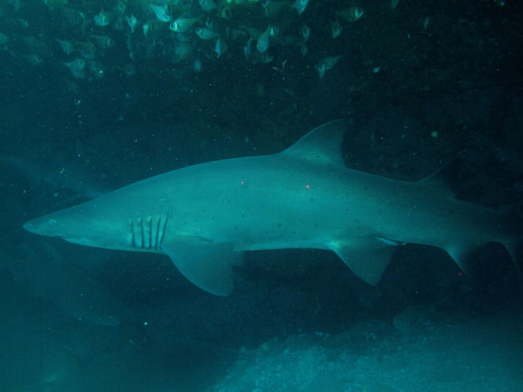 54d6704c-57c3-4034-9a1a-9d590700fac9