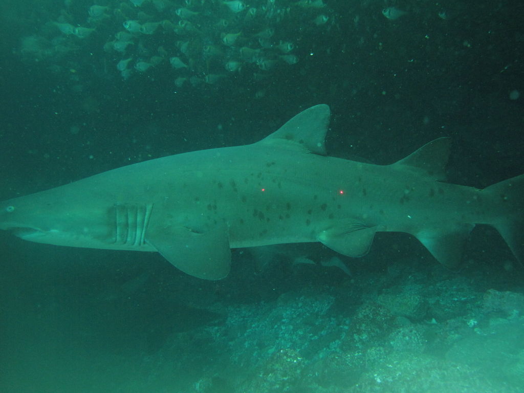 62ada31d-40d9-4969-b08f-8150174f05ce