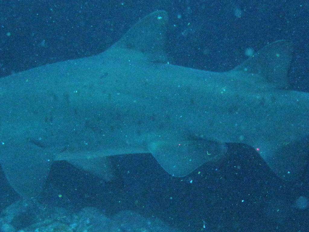 62ada31d-40d9-4969-b08f-8150174f05ce