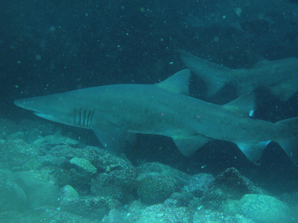 760d254e-cc29-4e50-8419-541df0809d8c