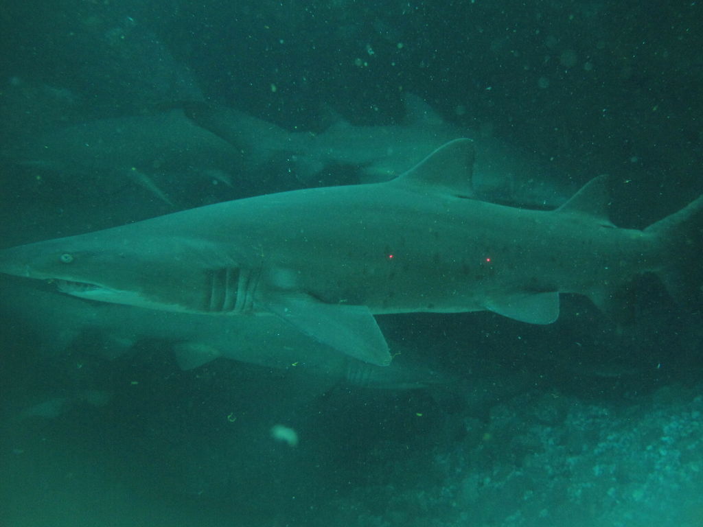 e67096ca-287b-4848-8010-31ef633a15d5