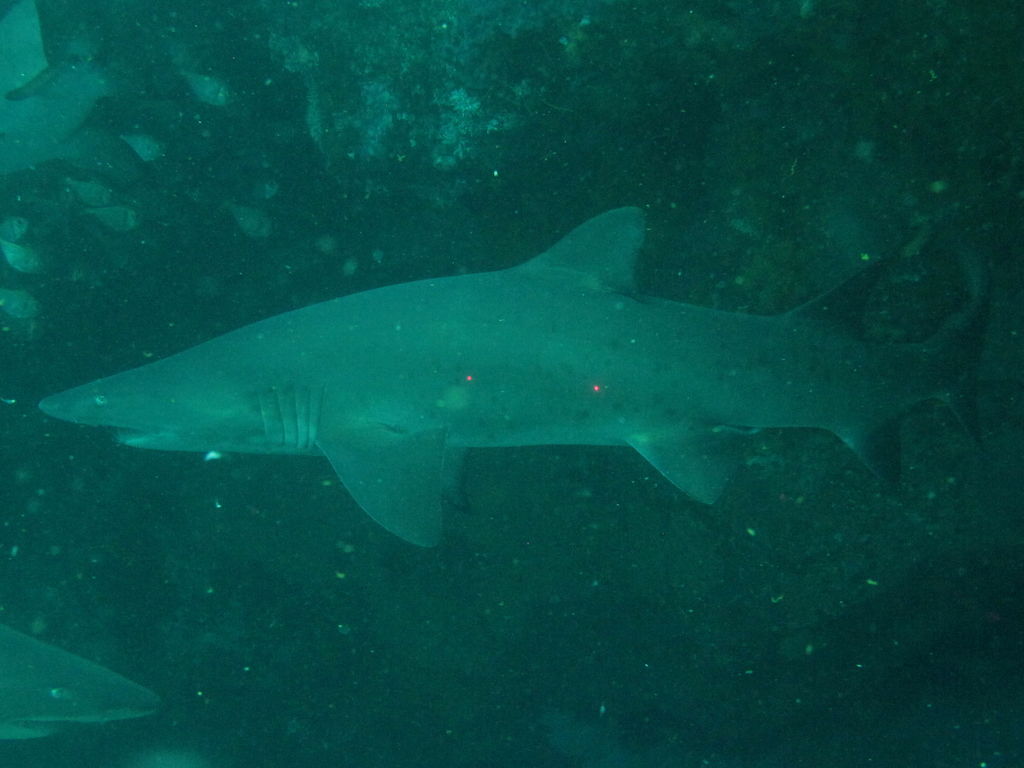 2298820e-cecf-4039-a6fa-7012244b5a38