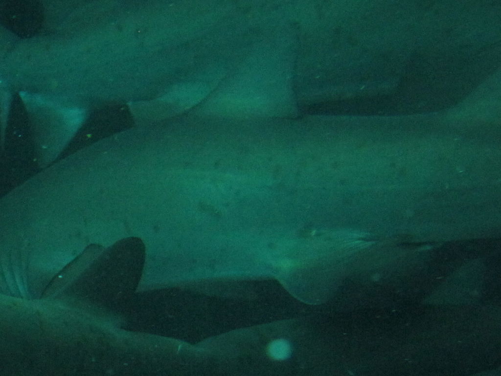 bcea8951-a564-4ca3-a202-c18c3dea1d8b