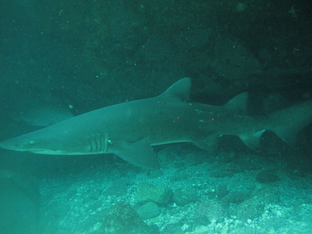 7ee77a96-b8ec-48fd-b860-b0de602ff75c