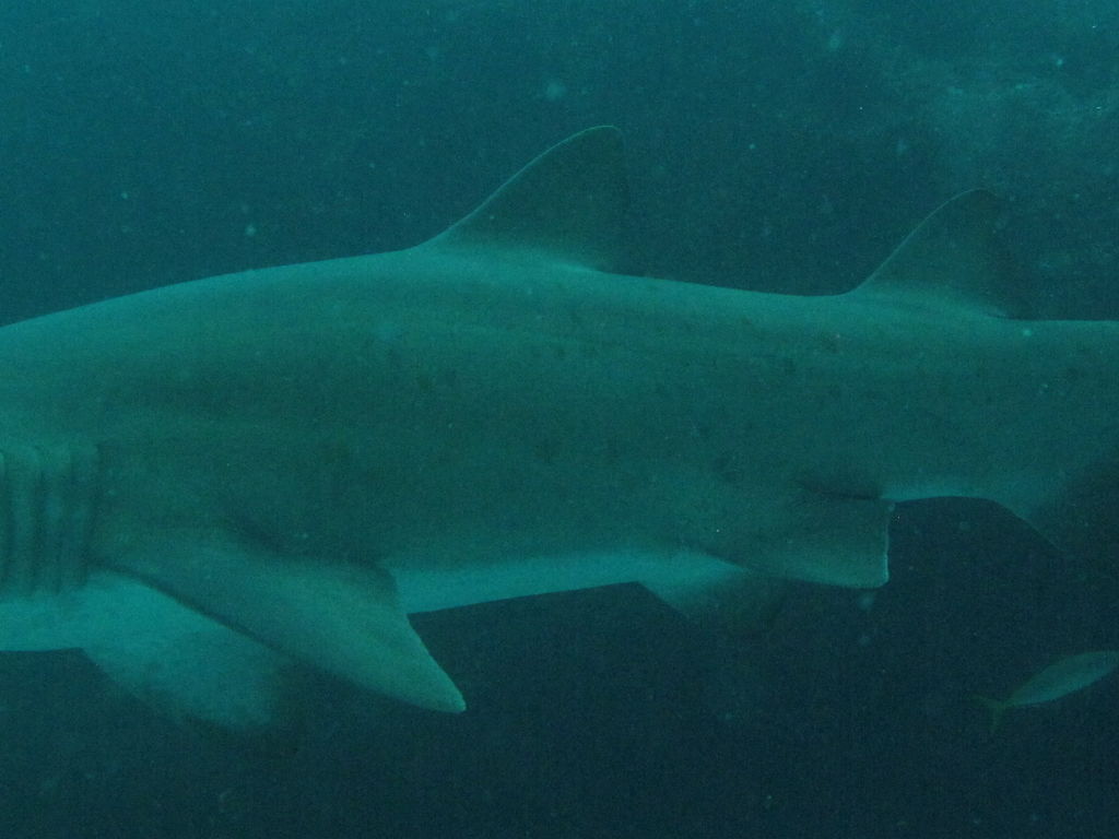 d21912c0-6199-471e-a0e5-37b0516ba543