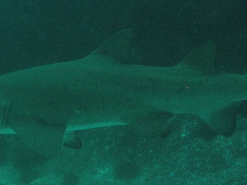 62ada31d-40d9-4969-b08f-8150174f05ce