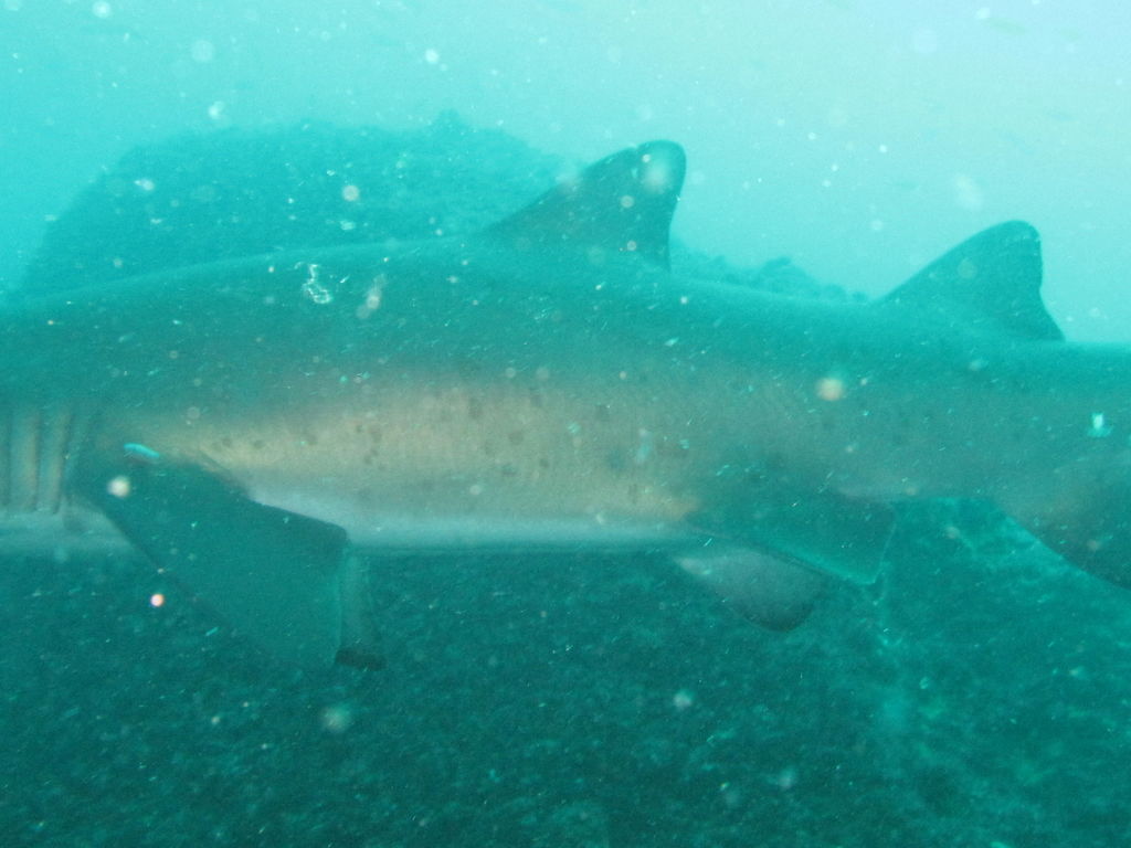 078e87e9-e451-4f6e-9e6e-8aba08a8e0ee