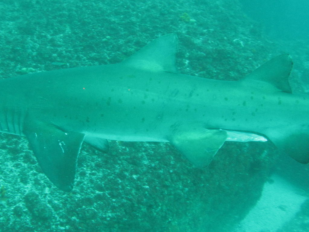 5219fb13-6d24-4409-8867-2659e9e19ebe