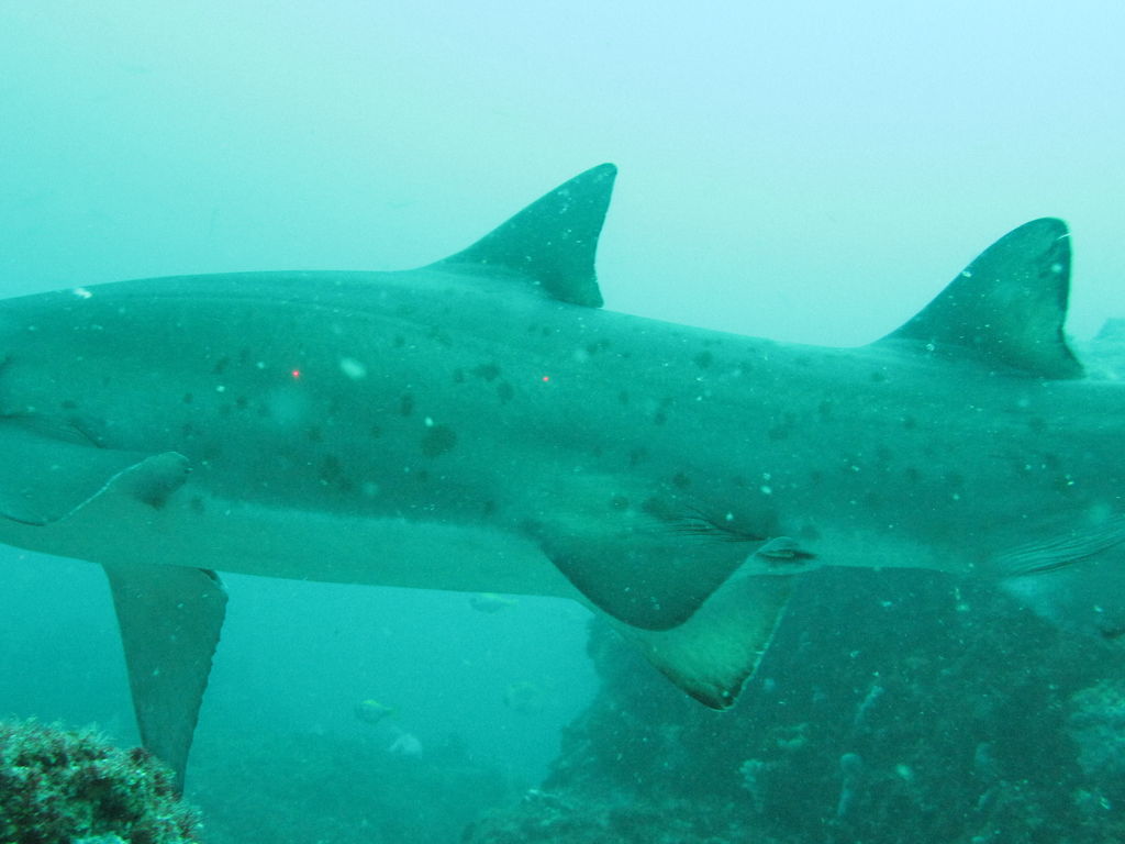 d8b7e2d1-3e5b-4905-8e48-0cbbb9e02a9e