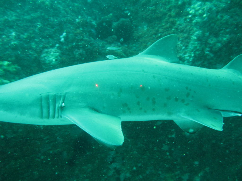 b1438dbd-4354-4f12-a8a5-a5556384425f