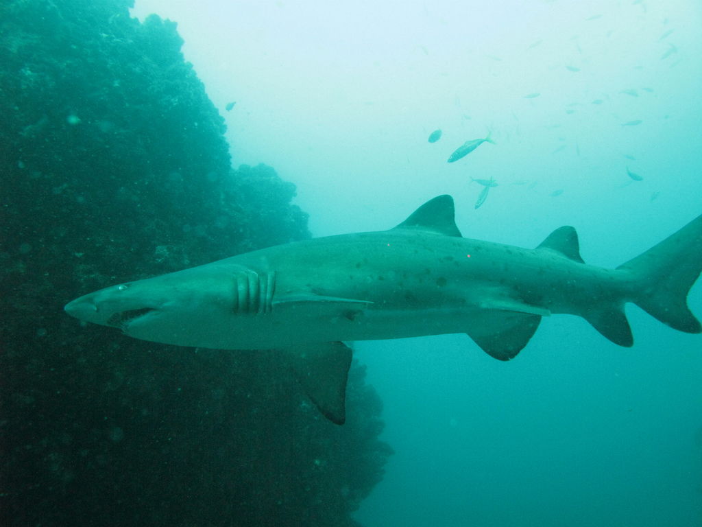 2ea7c79d-a6a4-48a8-b510-5c2c1b4a6f59