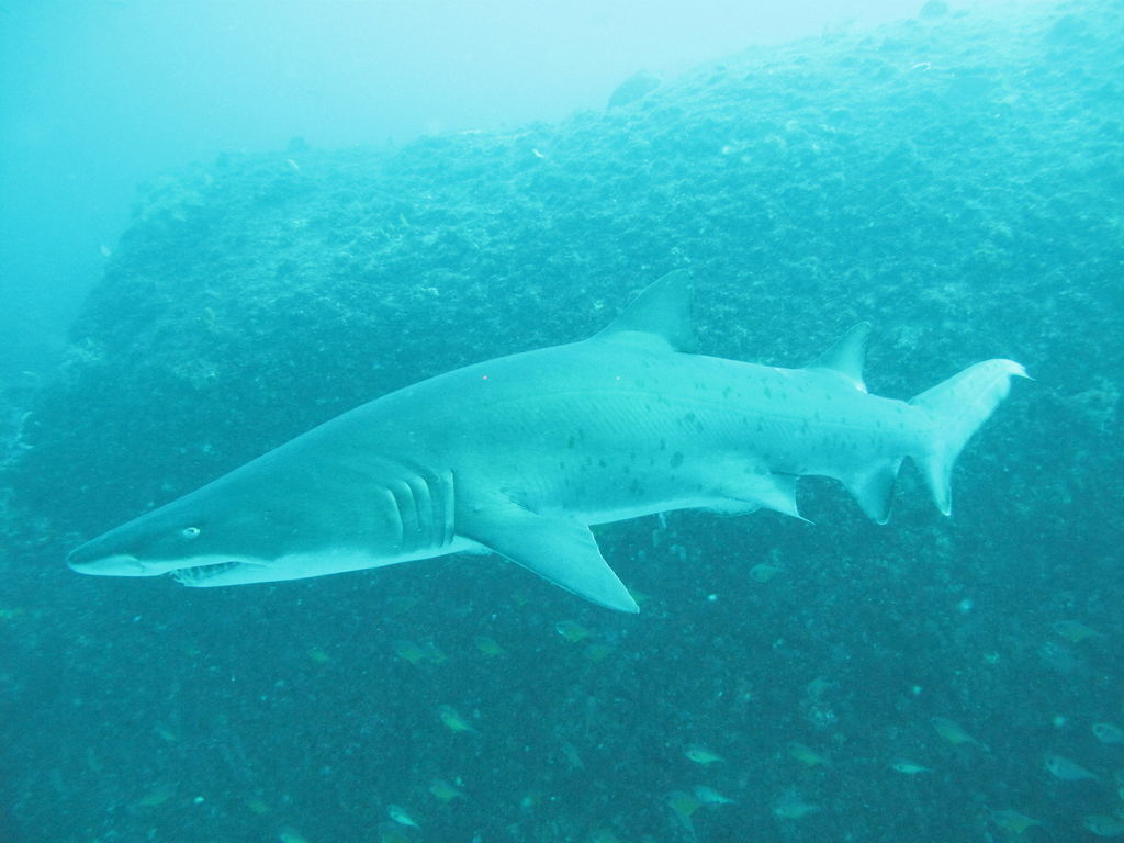 d8b7e2d1-3e5b-4905-8e48-0cbbb9e02a9e