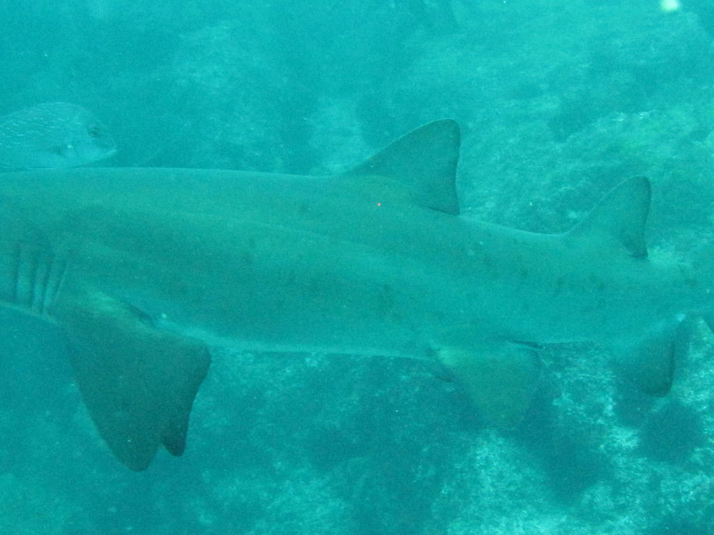 ddf8d59b-b19e-40a8-81e7-de0500669ac1