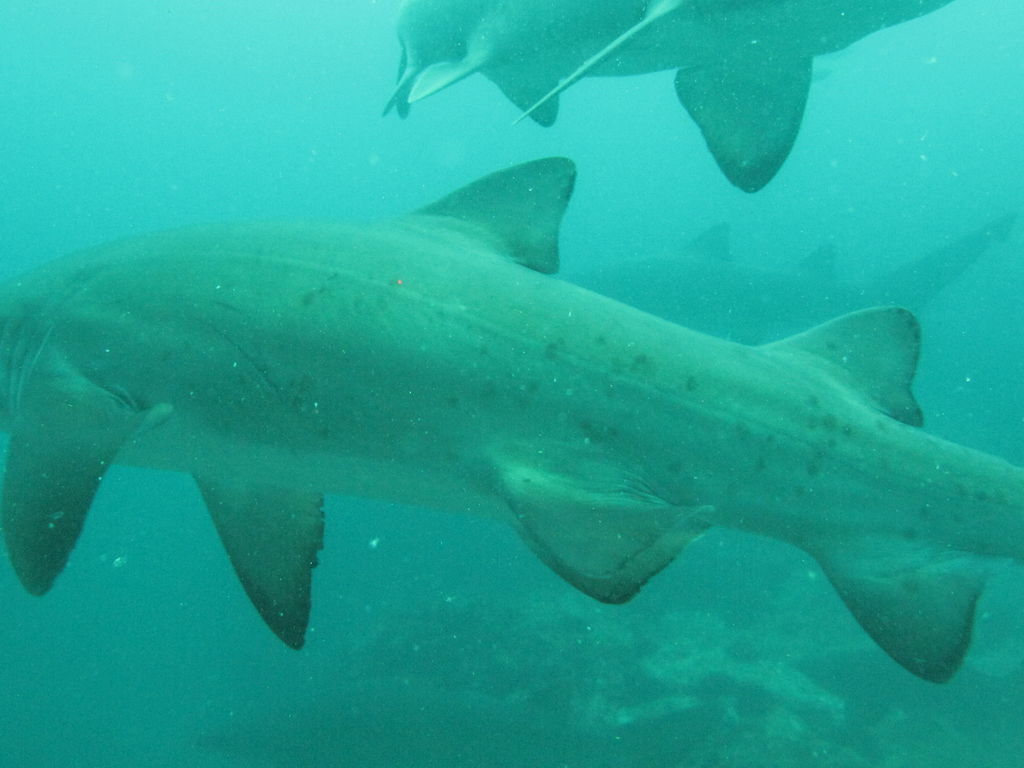 3c2f3836-4d11-4748-8ba8-552d3e366f99