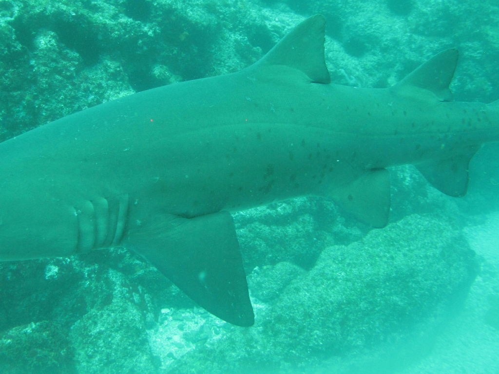 daba77cc-7469-452a-be47-6e19088cc5e8