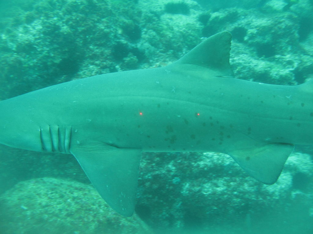 daba77cc-7469-452a-be47-6e19088cc5e8