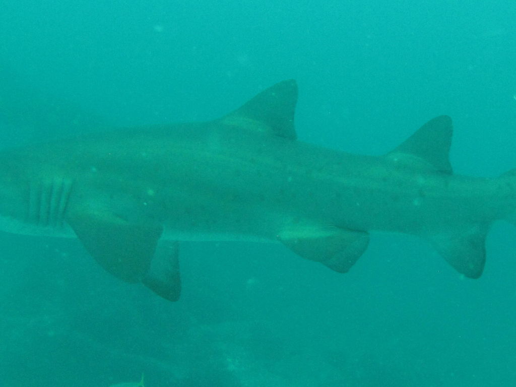 0fd6484d-4832-47fa-be19-3dc5cc96bce4