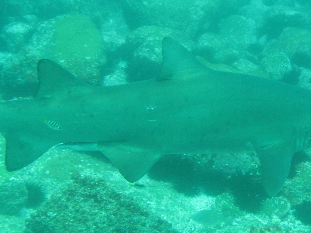 3a0f7579-7c40-4b02-91d2-ea217c48ce8b