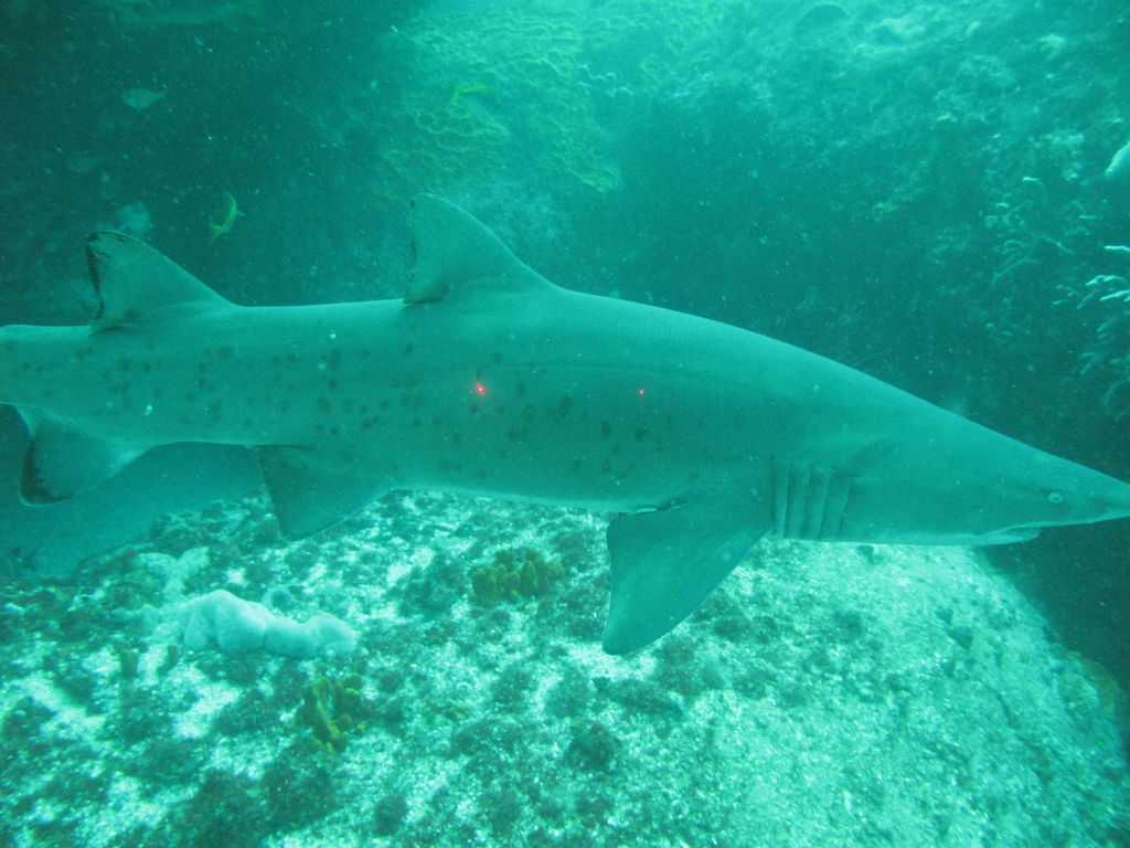 b11f4a86-aa7a-41dd-b275-df53857da2f1