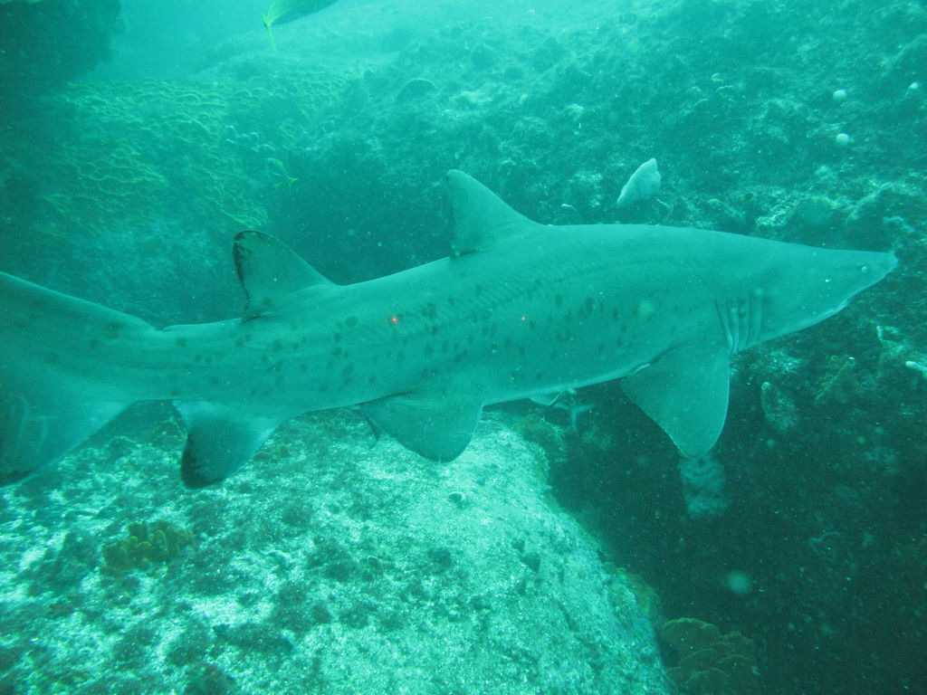 b11f4a86-aa7a-41dd-b275-df53857da2f1