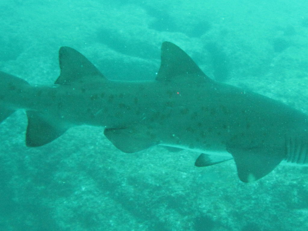 1893d818-f22a-4677-b386-b173d7f9647d