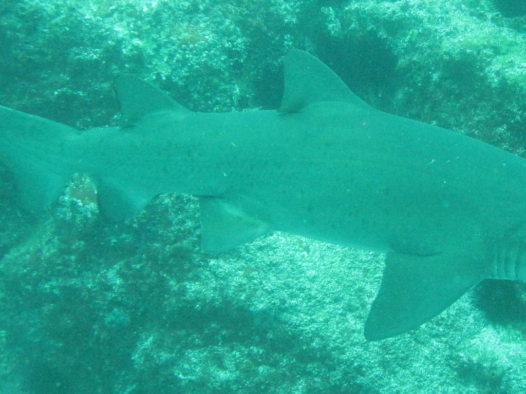 18a22fac-c802-4b7e-b43f-40b761b8ae43