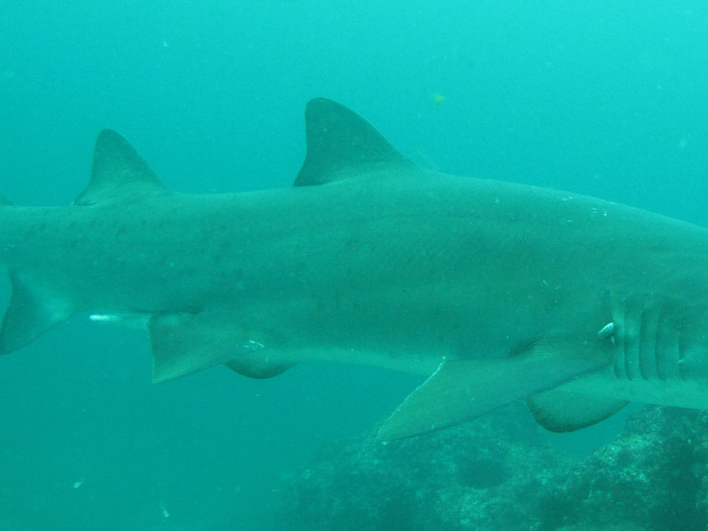 508ee7ac-b2d4-42f0-852b-53cf511d9f25