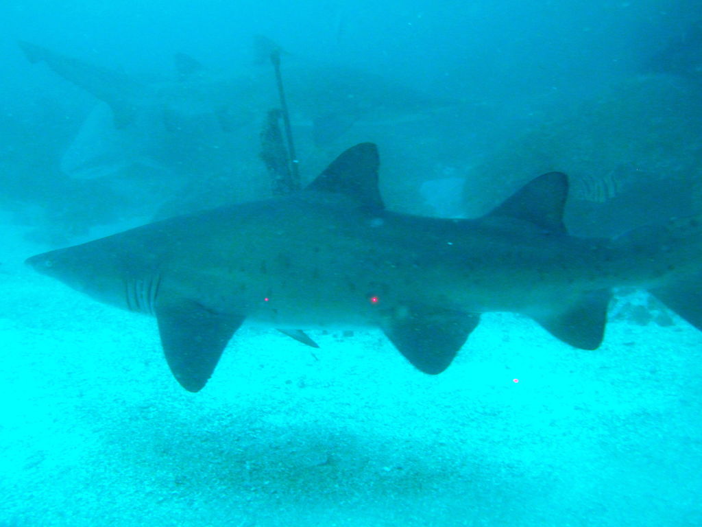 e67096ca-287b-4848-8010-31ef633a15d5