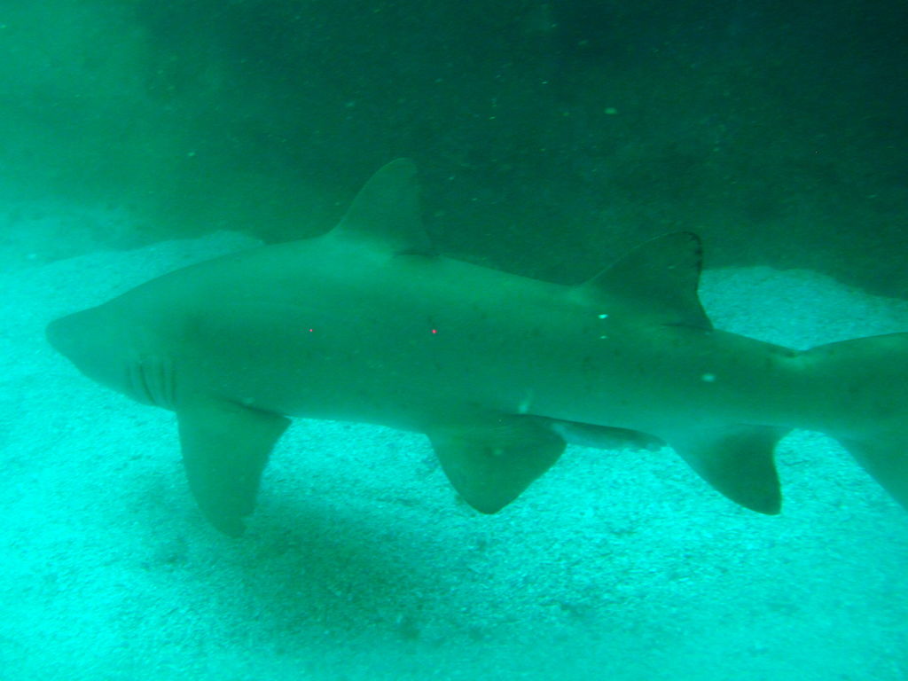 81684e69-6e38-4a38-ae73-88a263b147d9