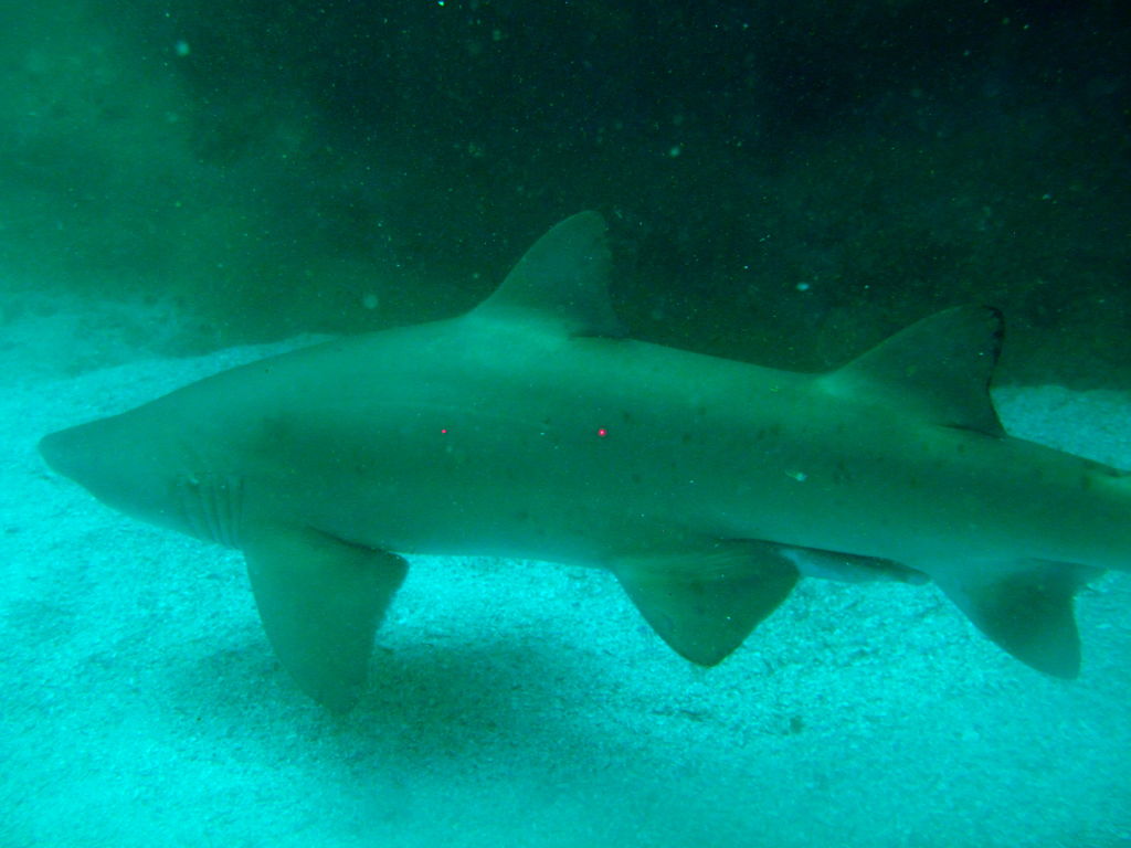 81684e69-6e38-4a38-ae73-88a263b147d9