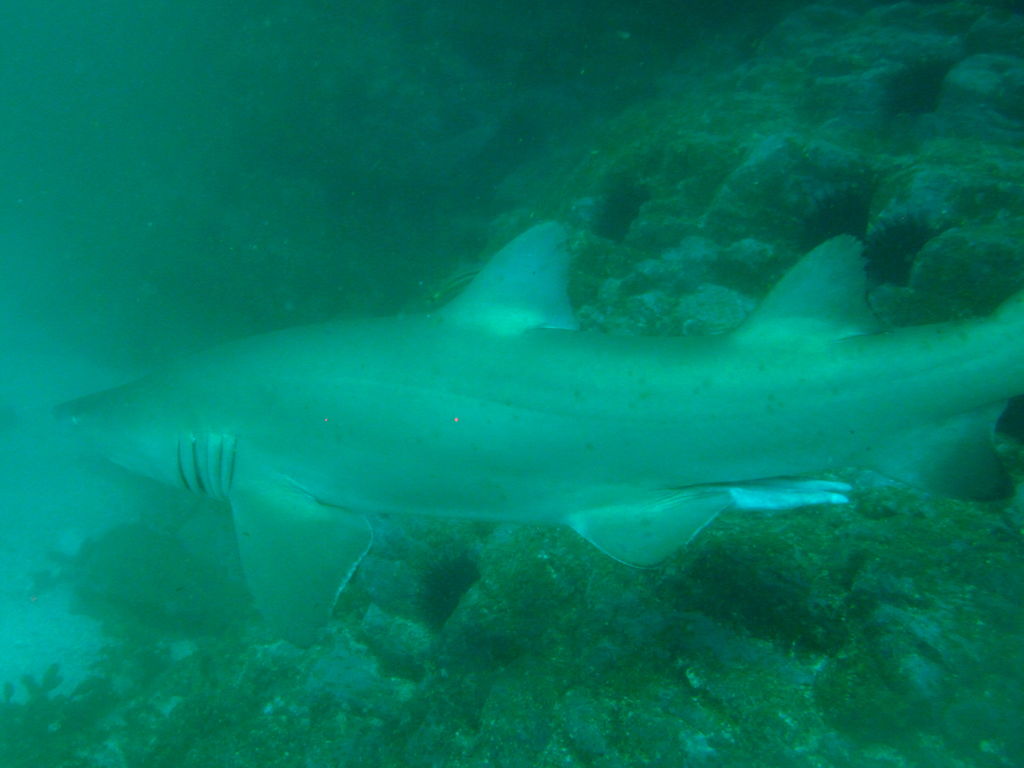 81684e69-6e38-4a38-ae73-88a263b147d9