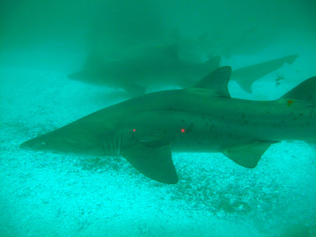 e5b741ec-4f49-4bb7-aab7-8d2be189c9e5