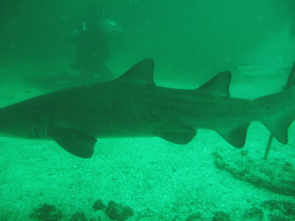 e67096ca-287b-4848-8010-31ef633a15d5