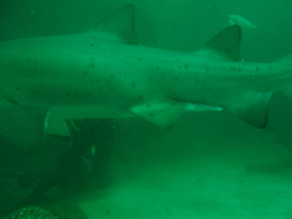 4097e827-ba96-441e-a089-5ef26ac21b25