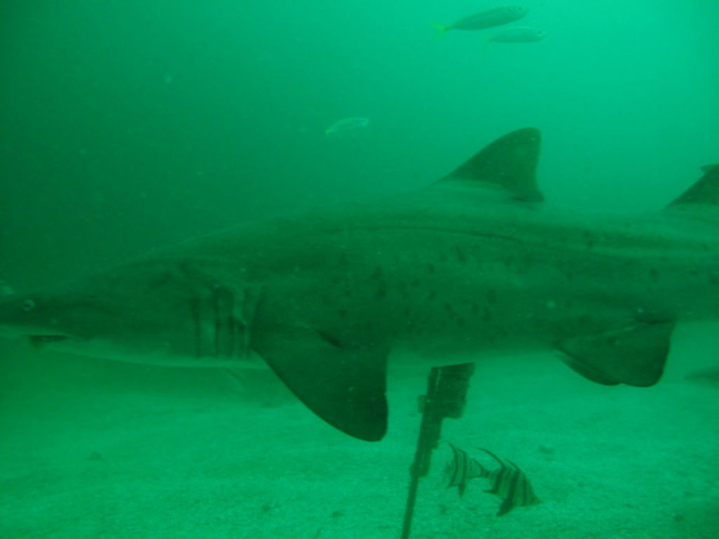 73f9a561-4189-49b1-a3fb-2925e8fd92d6