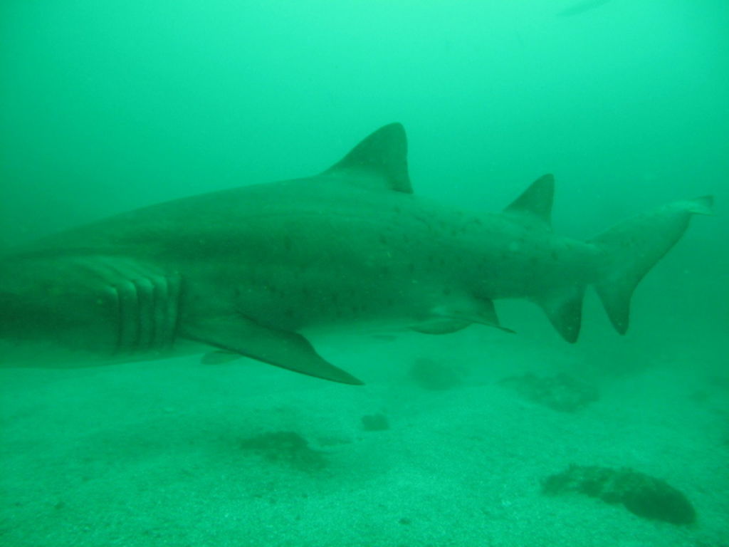 faf6f830-bd3c-46ce-a8ff-61034cdb3436