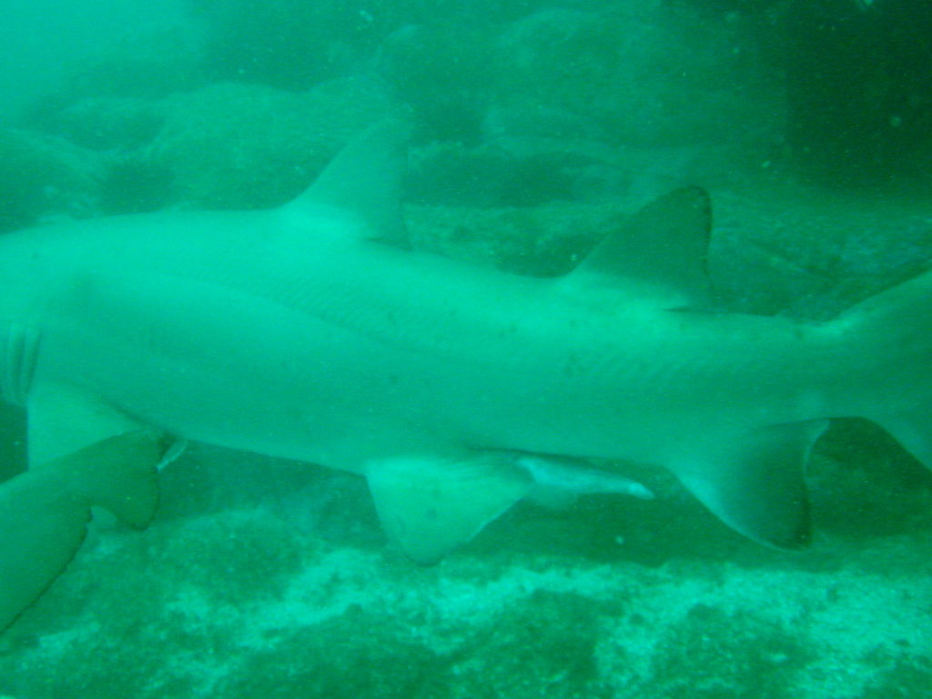 81684e69-6e38-4a38-ae73-88a263b147d9