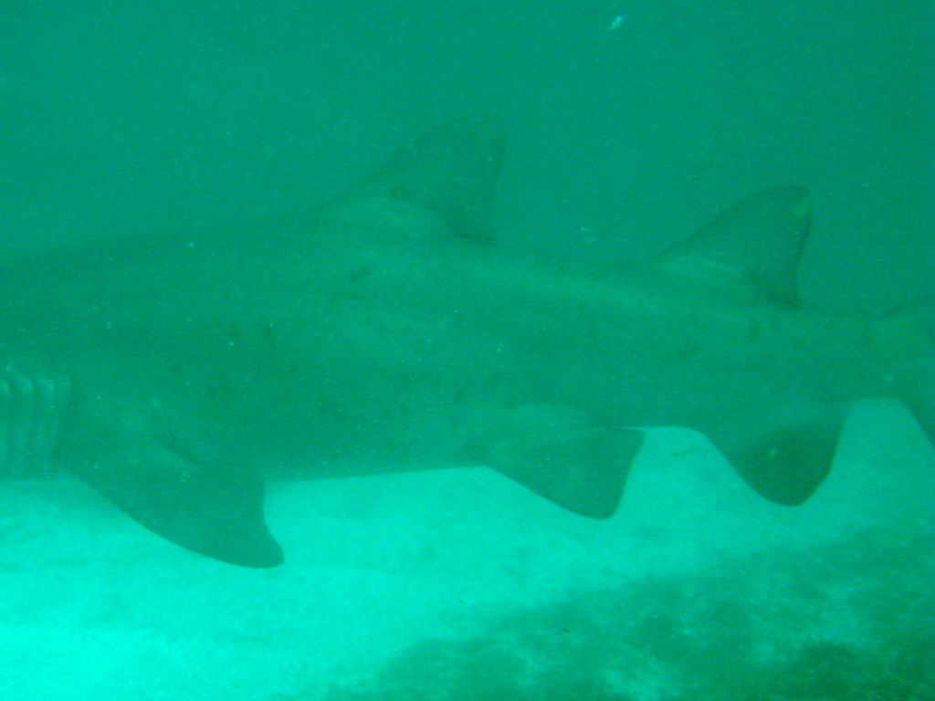 62ada31d-40d9-4969-b08f-8150174f05ce