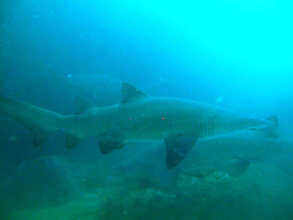 d9f6a2f7-3035-4d7e-8183-669e0d863ef6